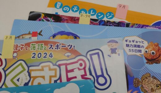 夏休みのイベント告知チラシが山盛り問題