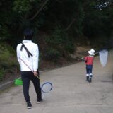 子どもを連れて虫採りへ、持ち物