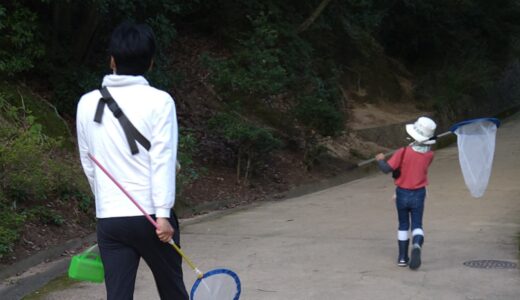 子どもを連れて虫採りへ、持ち物